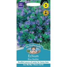 Echium Blue Bedder Seeds